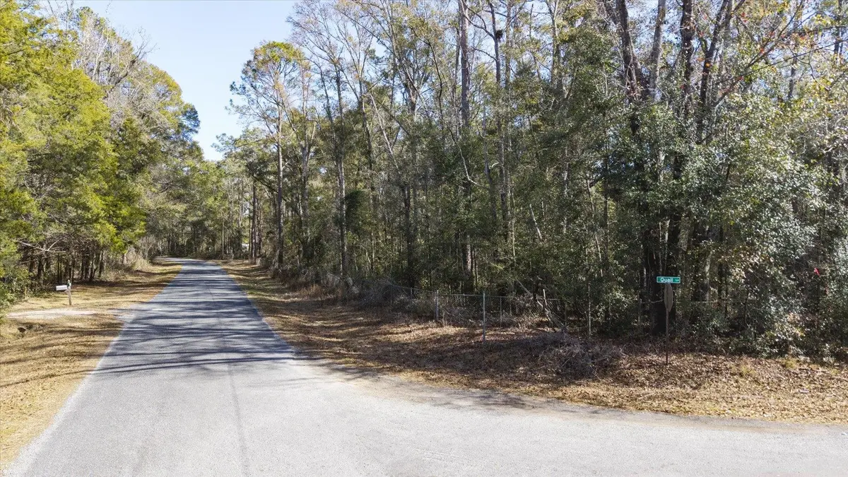 1264 Quail Lane, Monticello, FL 32344 - #1