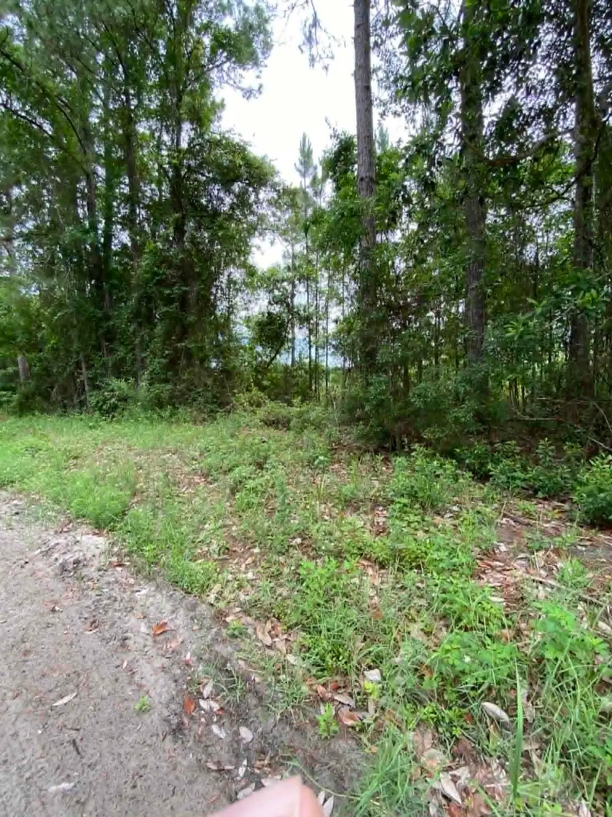 XX Jer-be-lou Circle, Panacea, FL 32346 - #1