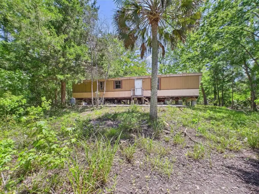 23210 Nutall Rise Road, Lamont, FL 32336 - #3