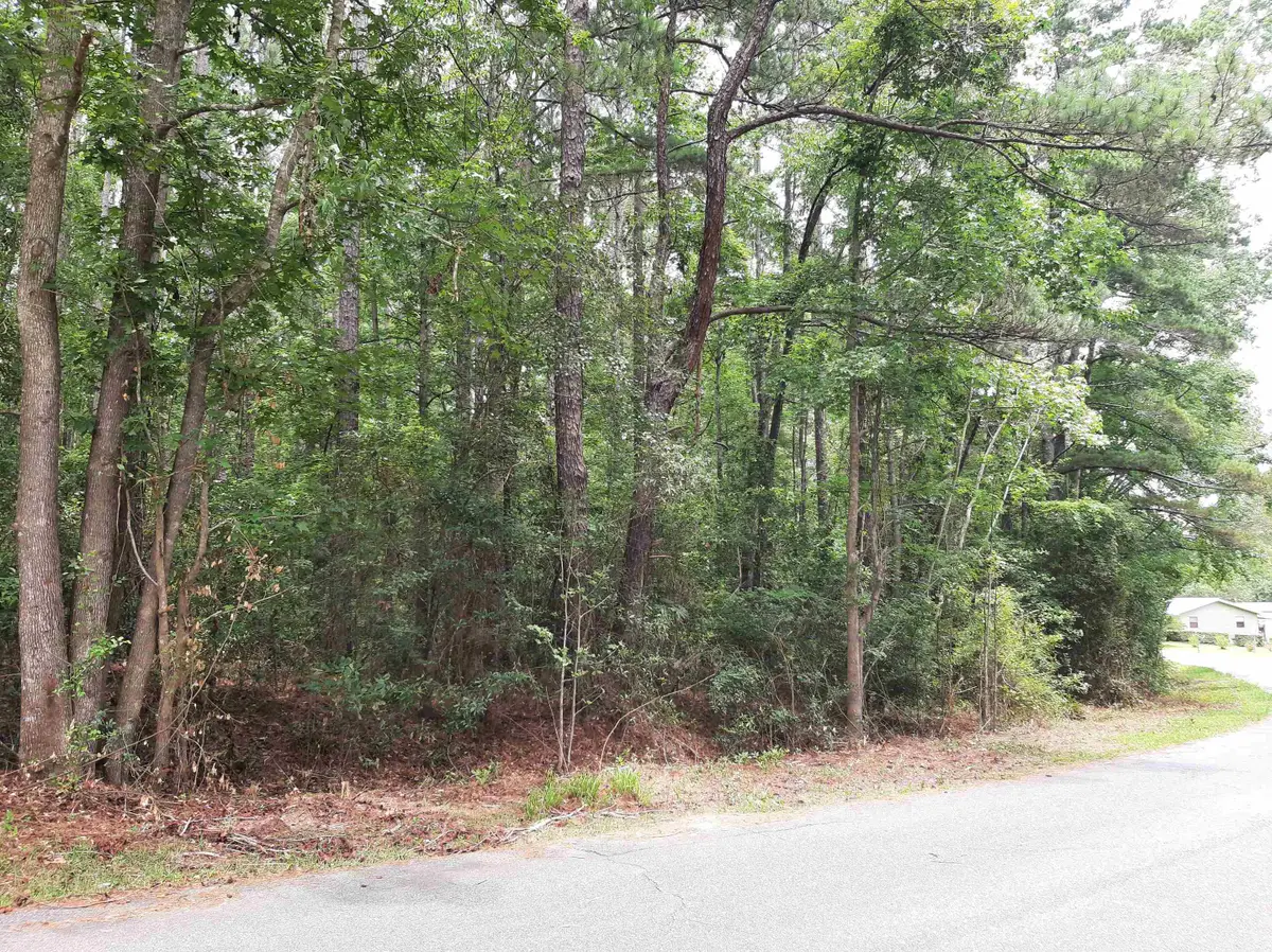 Spring Hollow Drive, Monticello, FL 32344 - #1