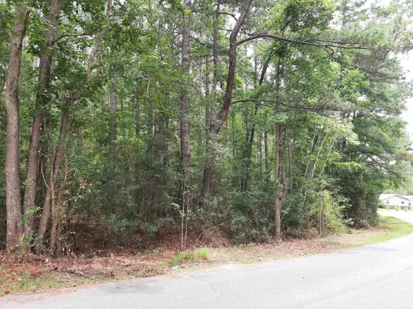 Spring Hollow Drive, Monticello, FL 32344