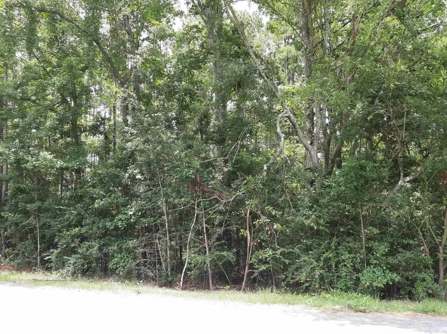 Spring Hollow Drive, Monticello, FL 32344 - #2