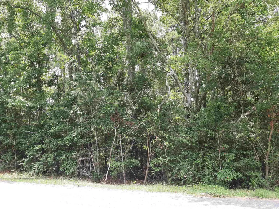 Spring Hollow Drive, Monticello, FL 32344 - #3
