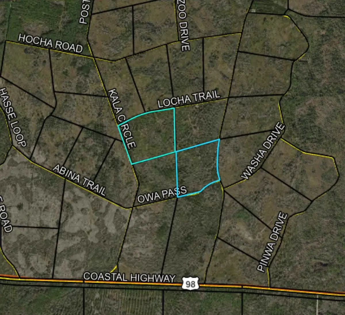 xx Locha Trail, Crawfordville, FL 32327 - #1