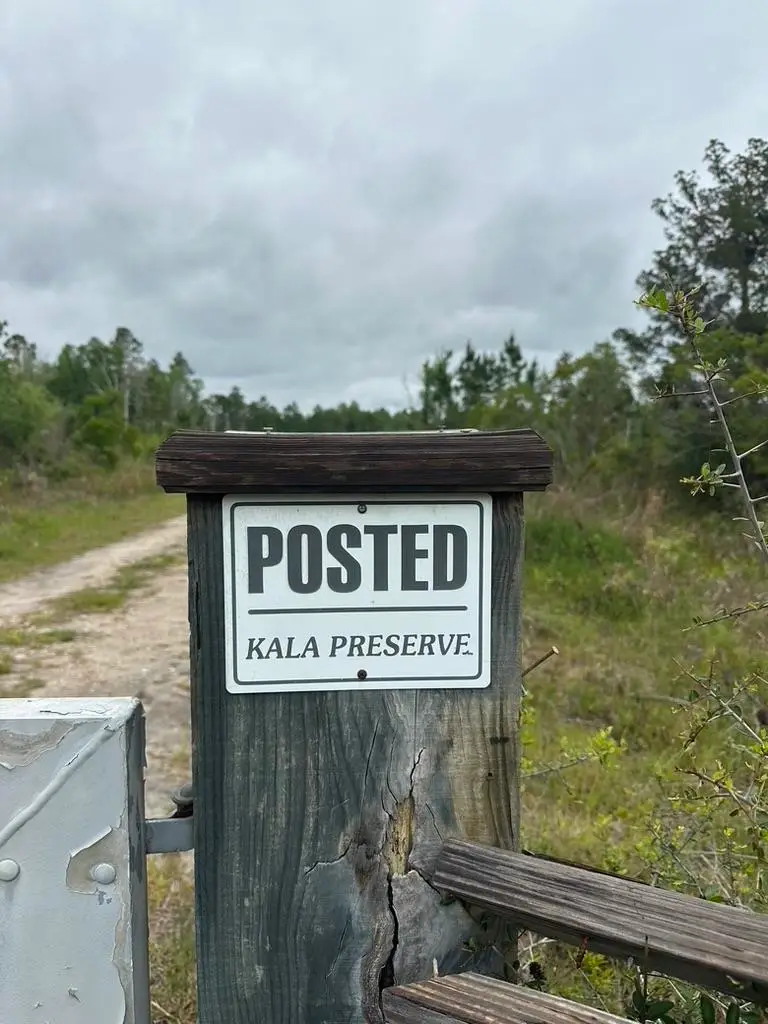 xx Locha Trail, Crawfordville, FL 32327 - #2