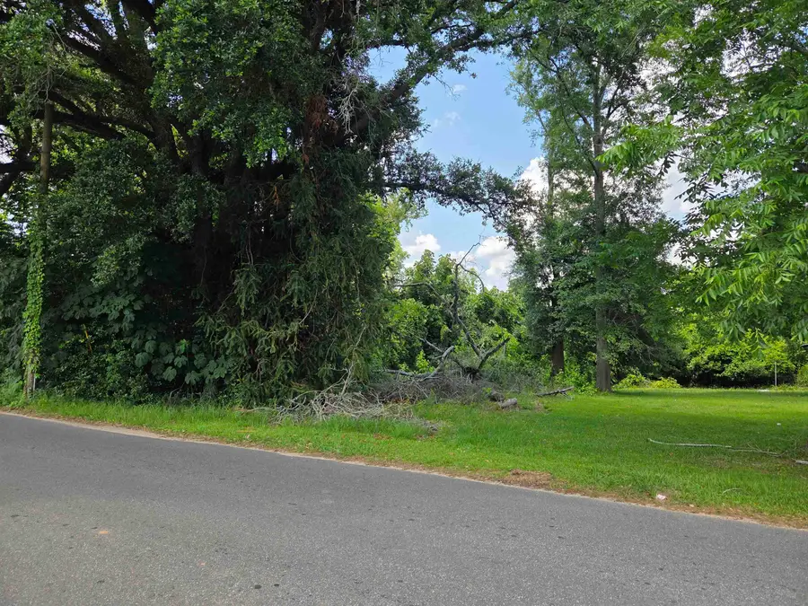 xxx Baltzell Street, Marianna, FL 32446 - #2