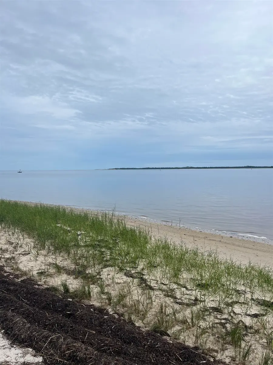 599 Mashes Sands Road, Panacea, FL 32346 - #3
