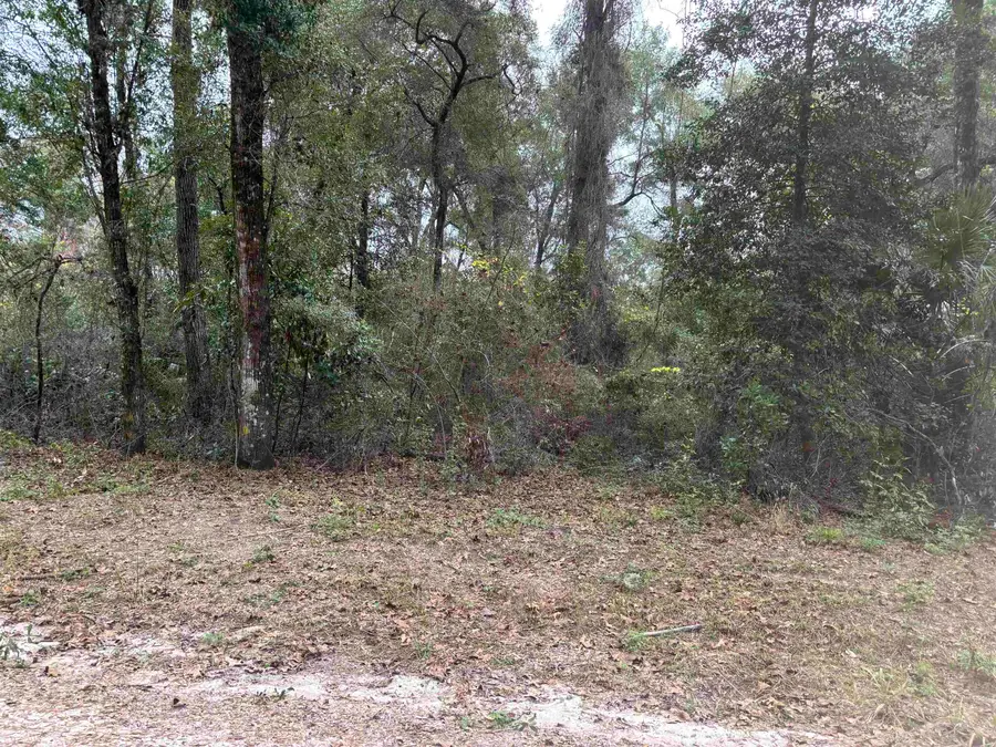 133 Rochelise Road, Crawfordville, FL 32327 - #3