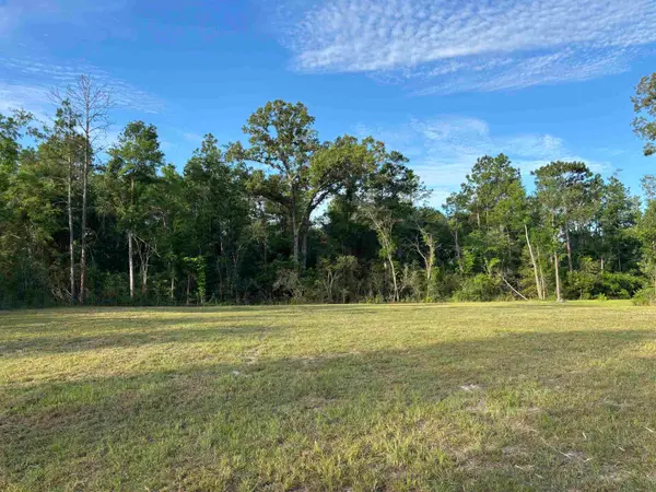 XX Sellars Drive, Crawfordville, FL 32327
