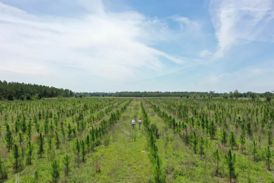 SW 86th Boulevard, Jasper, FL 32052 - #2