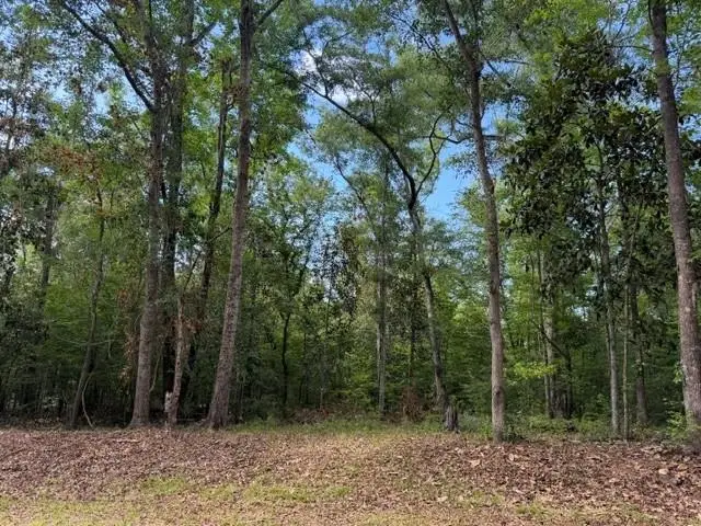 Lot 14 Crestwood Drive, Tallahassee, FL 32311 - #3