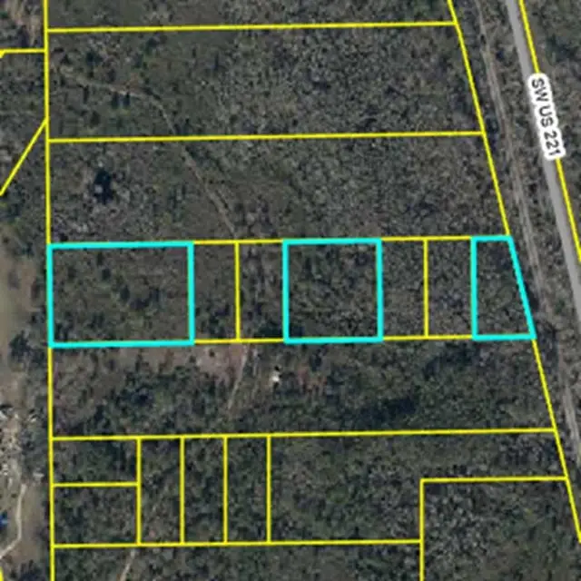Vacant SW Wabasso Terrace, Greenville, FL 32331 - #1