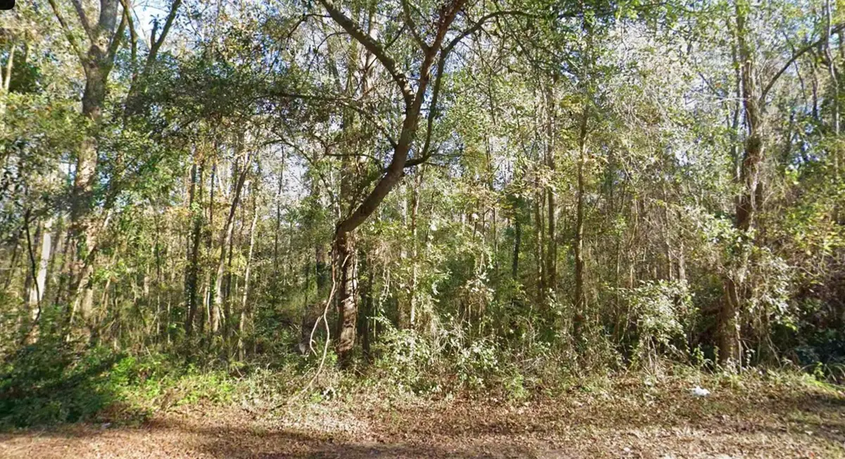 0 Moccasin Gap Road, Tallahassee, FL 32309 - #1