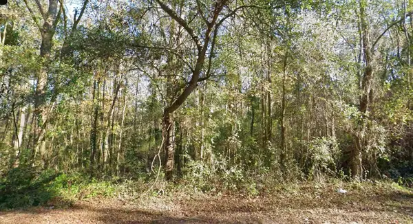 0 Moccasin Gap Road, Tallahassee, FL 32309