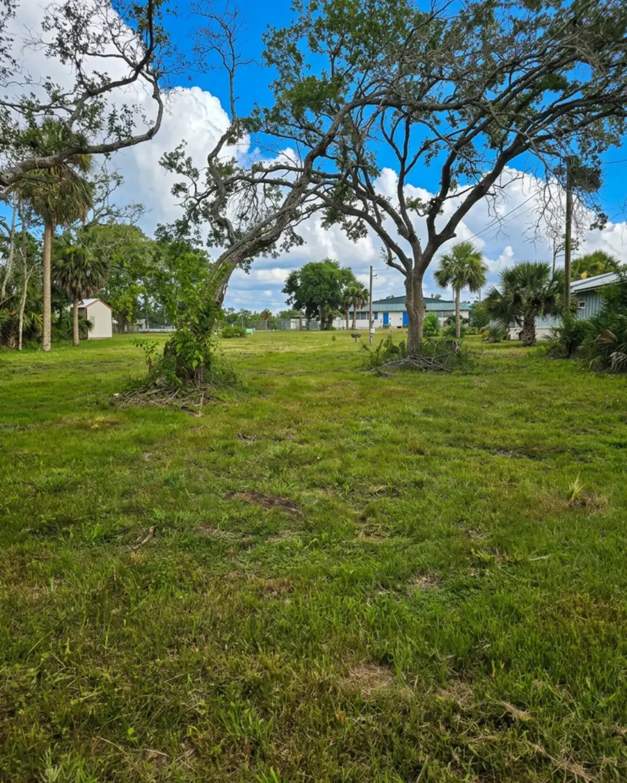 1111 NE Central Avenue, Steinhatchee, FL 32359 - #2