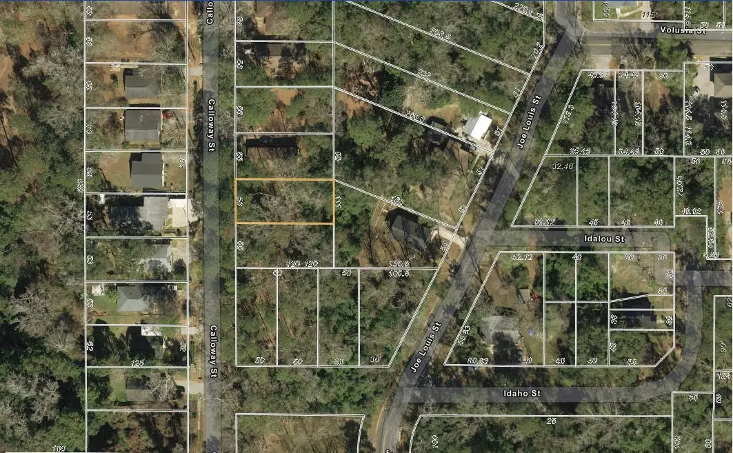 xx Calloway Street, Tallahassee, FL 32304 - #1