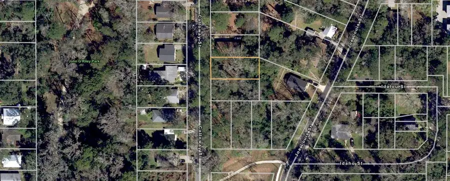 xx Calloway Street, Tallahassee, FL 32304 - #3