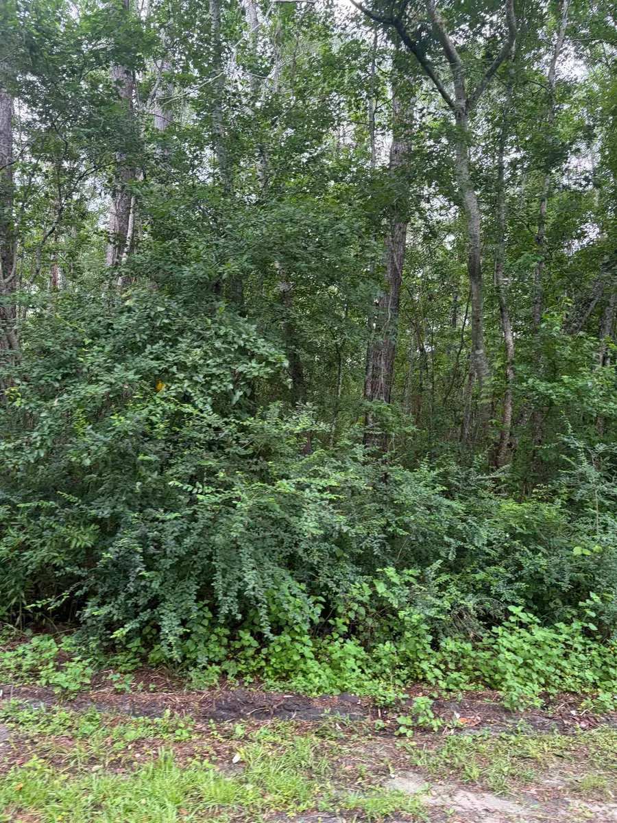 SW Bishop Avenue, Greenville, FL 32331 - #2