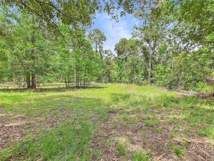 00 Beach Road, Perry, FL 32348 - #2