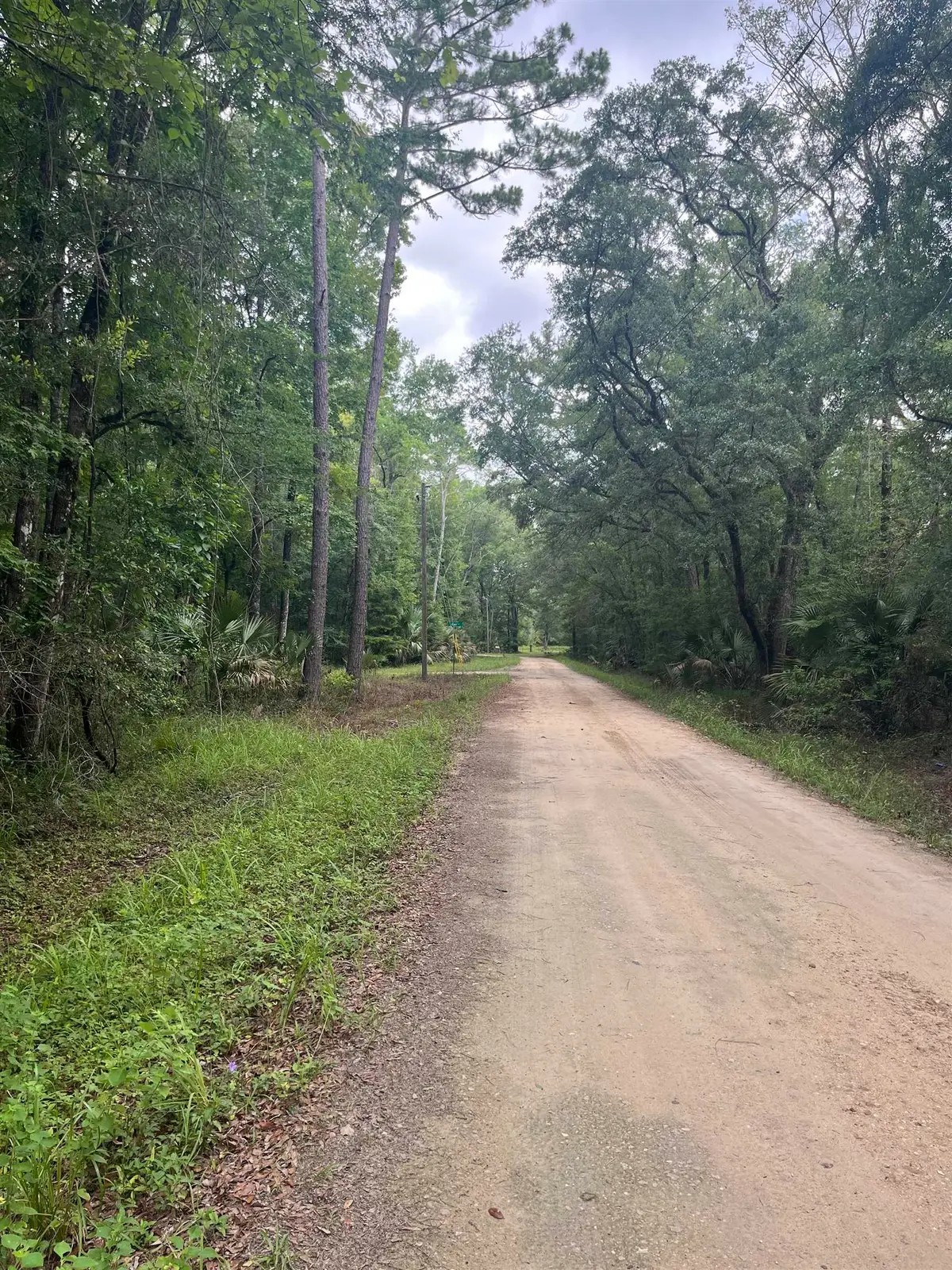 Lots 18 & 19 Owl Lane, Crawfordville, FL 32327 - #1