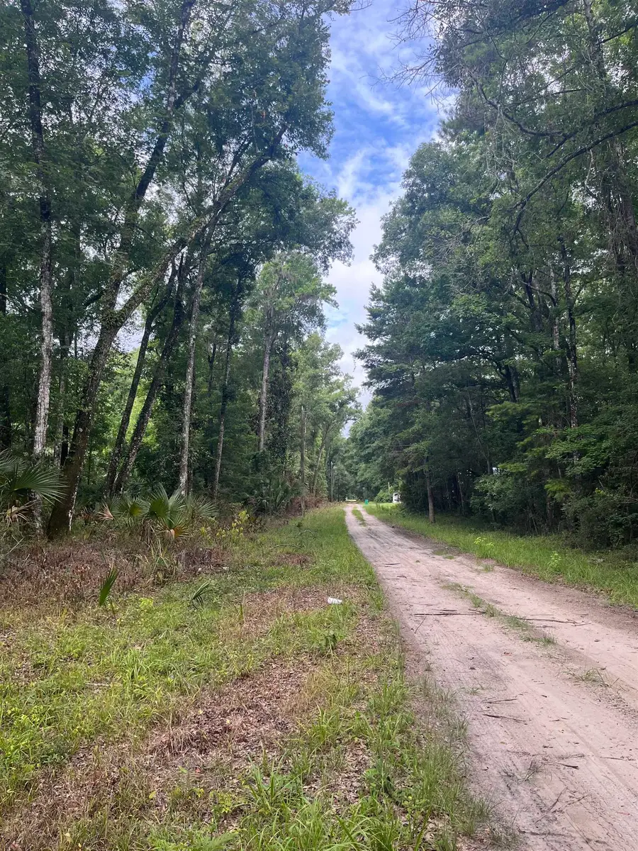 Lots 18 & 19 Owl Lane, Crawfordville, FL 32327 - #2