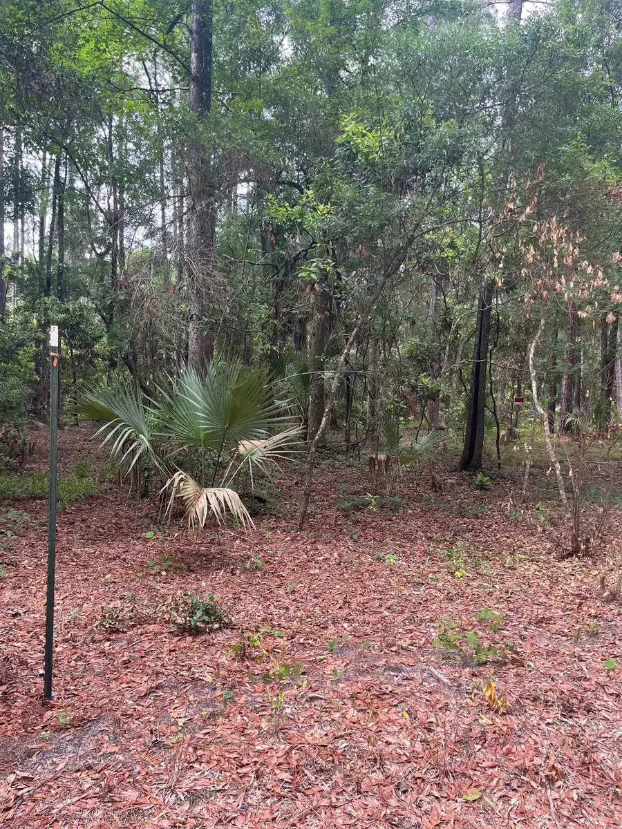Lots 18 & 19 Owl Lane, Crawfordville, FL 32327 - #3
