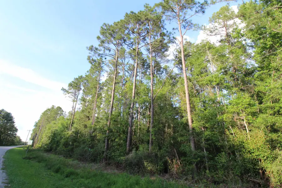 TBD S Salt Road, Monticello, FL 32344 - #3