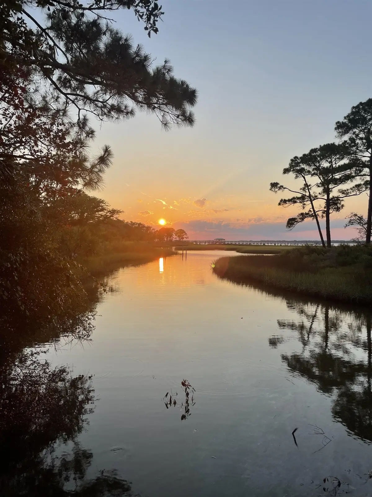 23 Tom Roberts Road, Alligator Point, FL 32346 - #1
