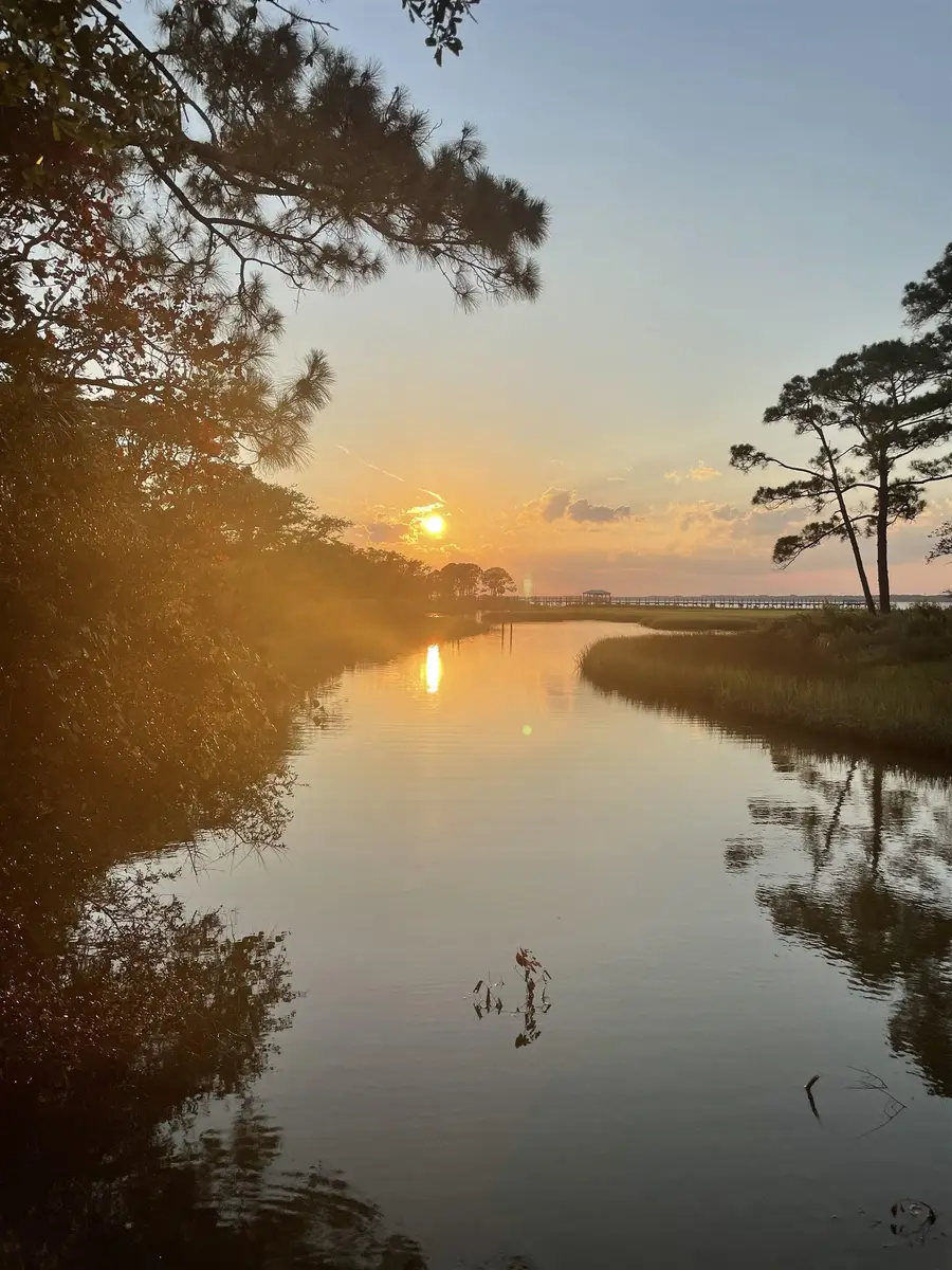 23 Tom Roberts Road, Alligator Point, FL 32346 - #2
