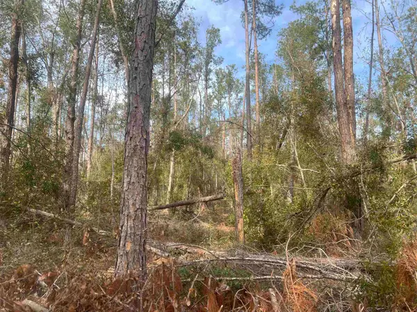 TBD 14th Trace, Live Oak, FL 32060