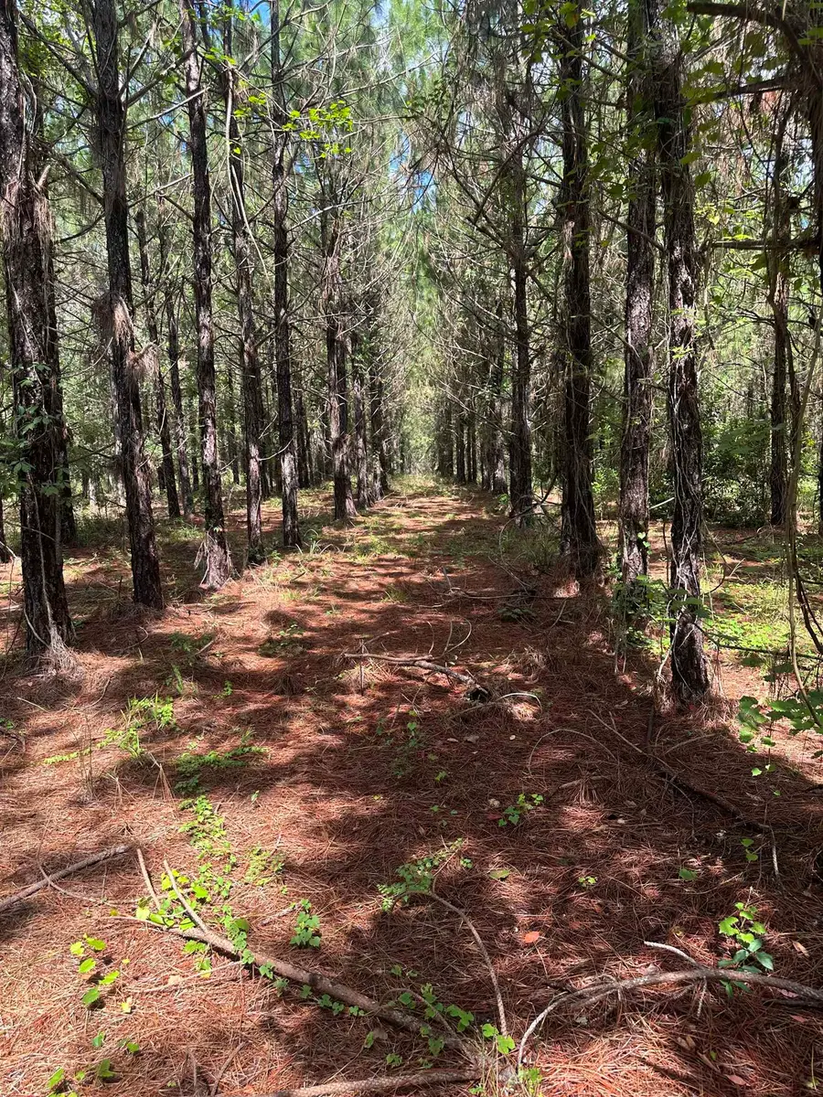 000 NW Us 221 Highway, Greenville, FL 32331 - #3