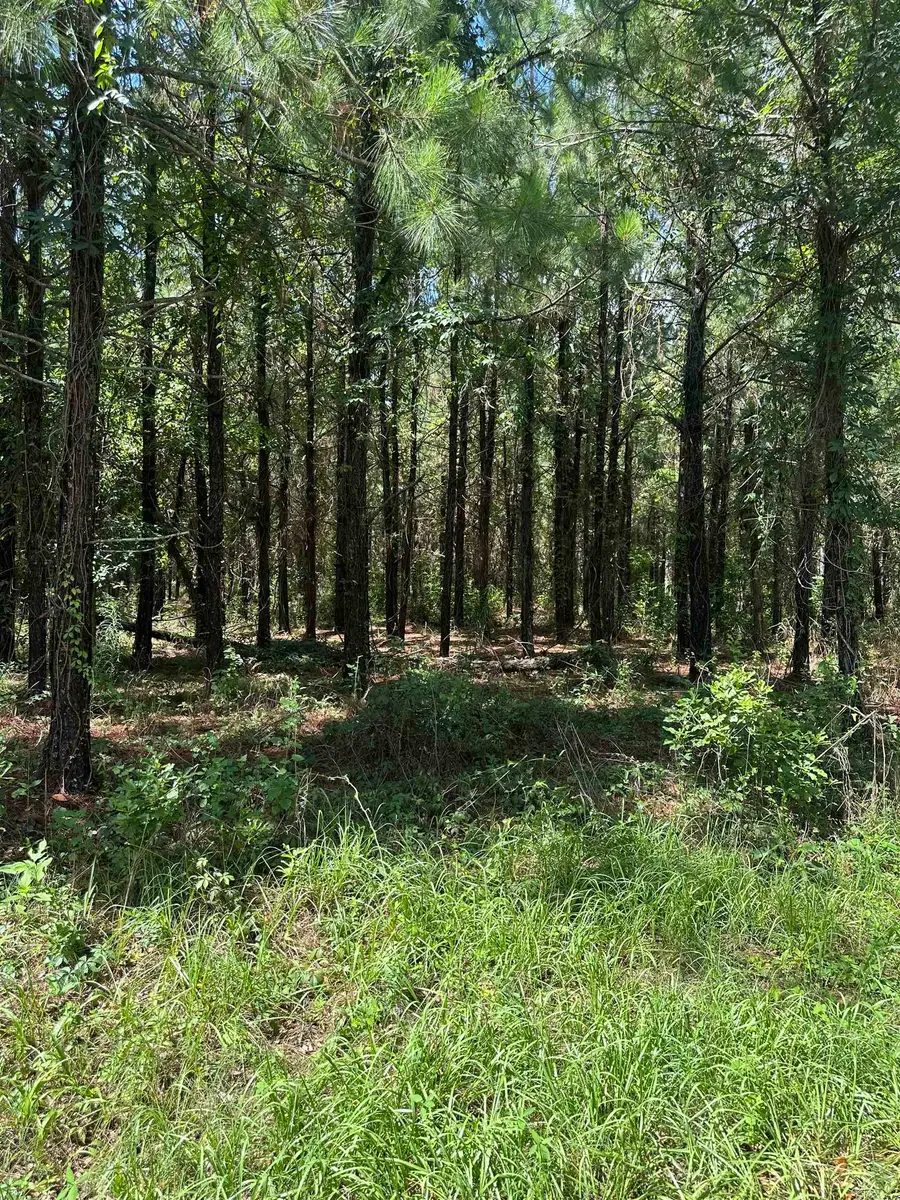 0000 NW Us 221 N Highway, Greenville, FL 32331 - #2