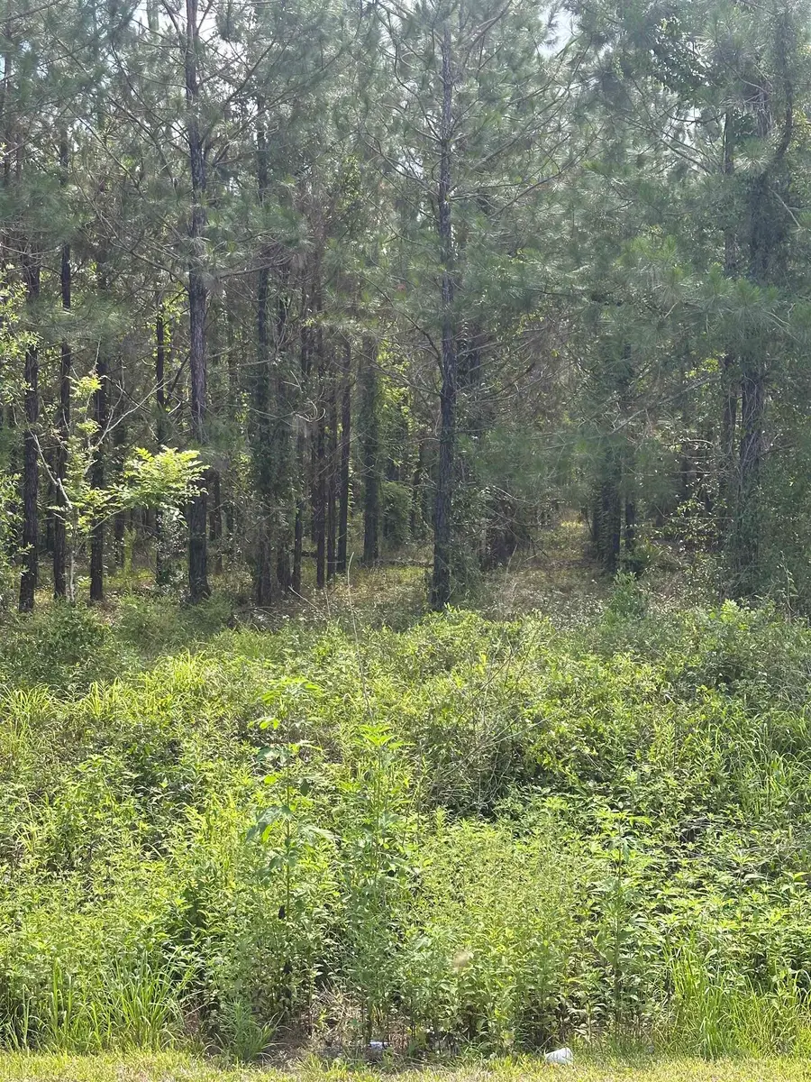 0000 NW Us 221 N Highway, Greenville, FL 32331 - #3