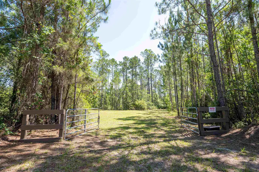 25516 Cinelli Lake Circle, Hosford, FL 32334 - #2