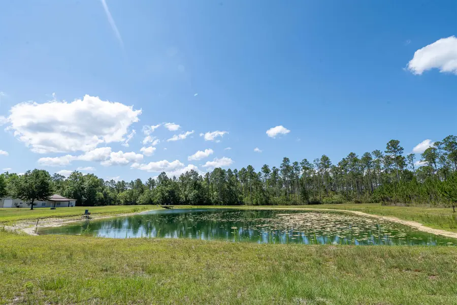 25516 Cinelli Lake Circle, Hosford, FL 32334 - #3