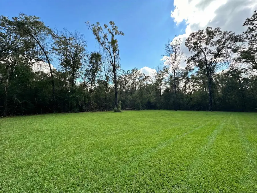 80 Basswood Drive, Crawfordville, FL 32327 - #3