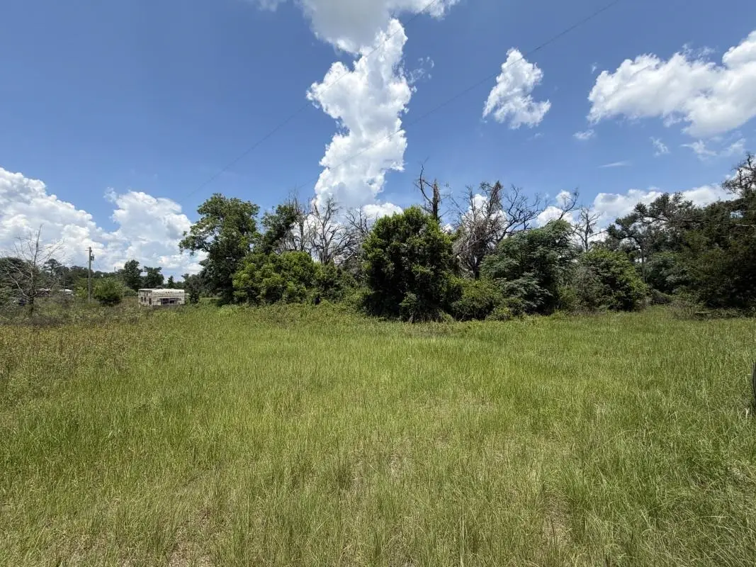 610 SE Askew Avenue, Madison, FL 32340 - #1