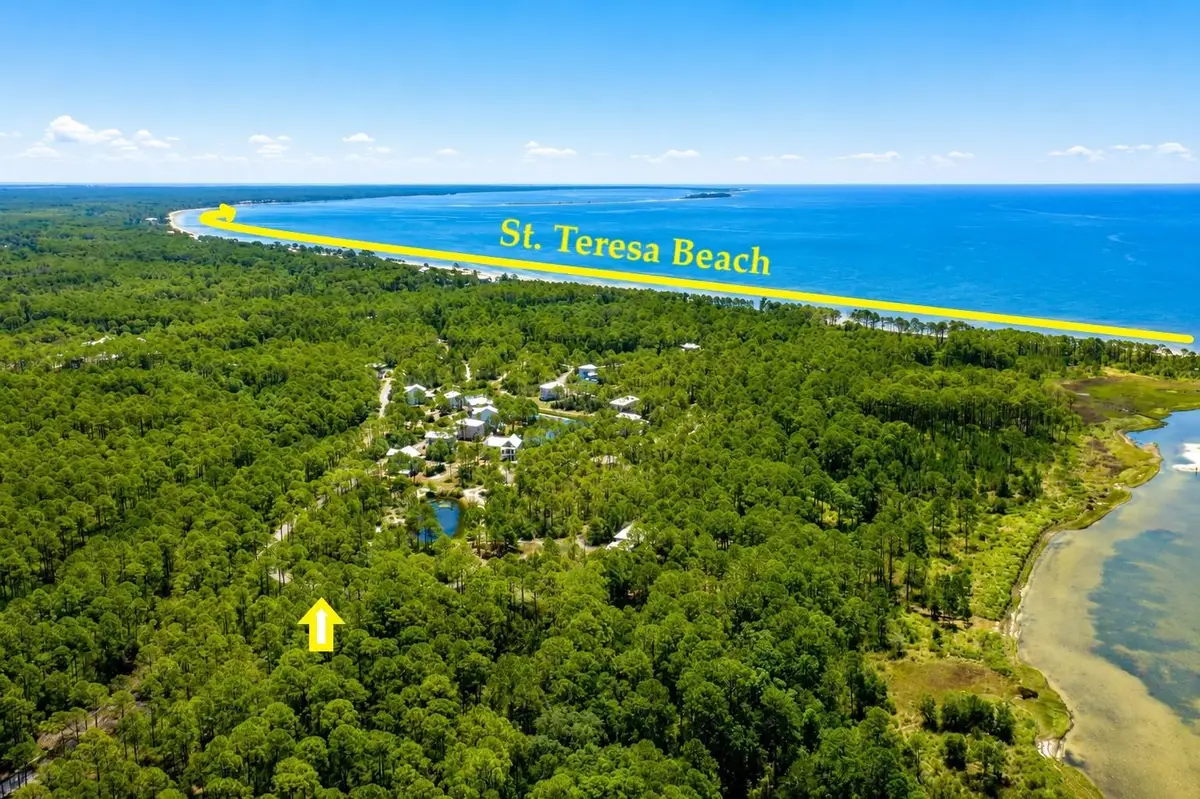 142 Winding Trail Way, Saint Teresa, FL 32358 - #1