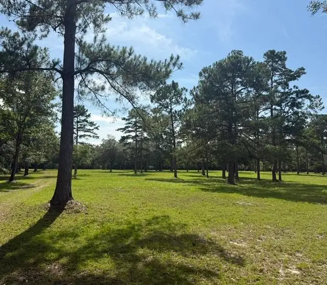 508 Rehwinkel Road, Crawfordville, FL 32327 - #2