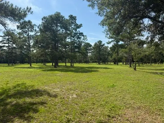 508 Rehwinkel Road, Crawfordville, FL 32327 - #3
