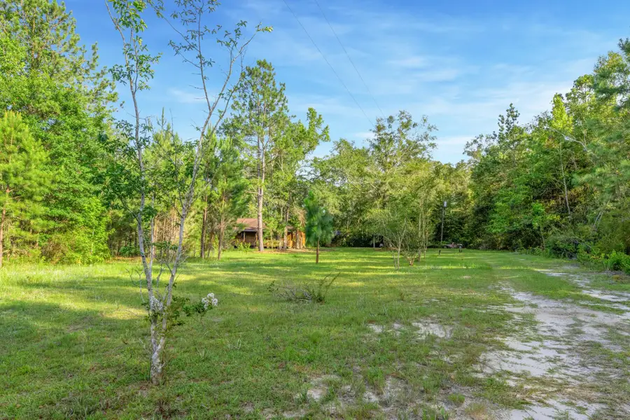 1495 Juniper Creek Road, Quincy, FL 32351 - #3