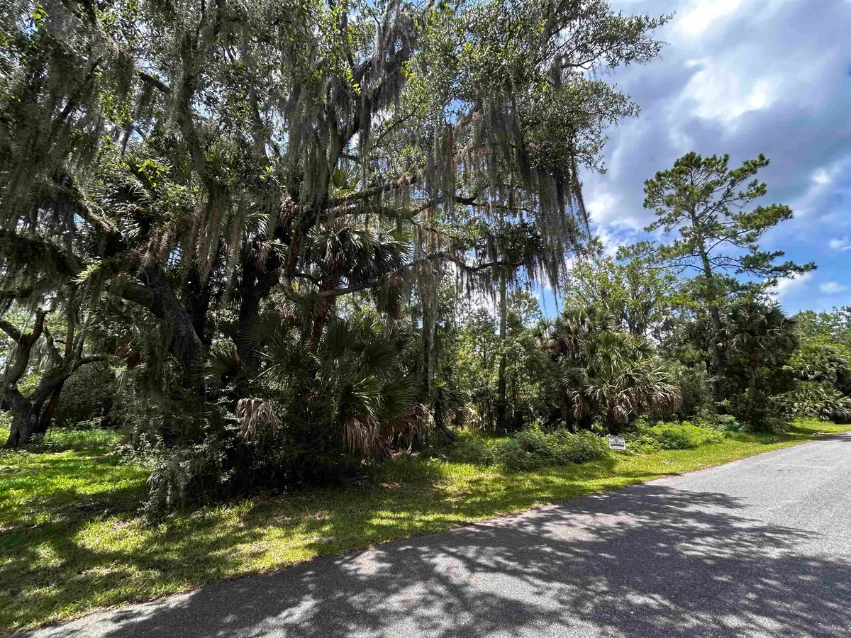 x Union Street, Saint Marks, FL 32355 - #1