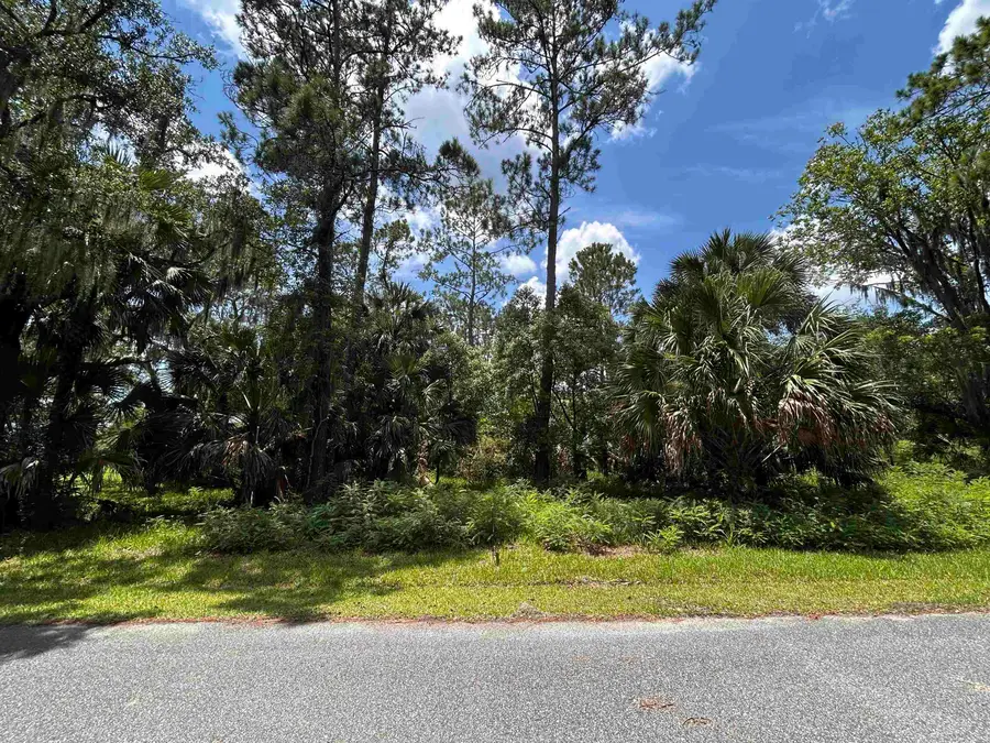 x Union Street, Saint Marks, FL 32355 - #2