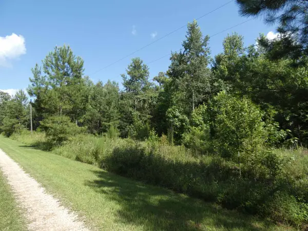 tbd Orchard, Monticello, FL 32344