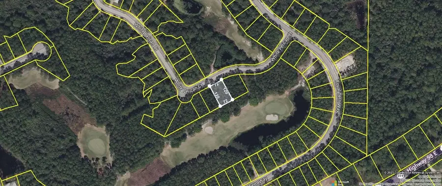 118 White Pelican Way, Carrabelle, FL 32322 - #3