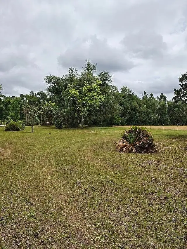 3475 Cash Road, Perry, FL 32348 - #3