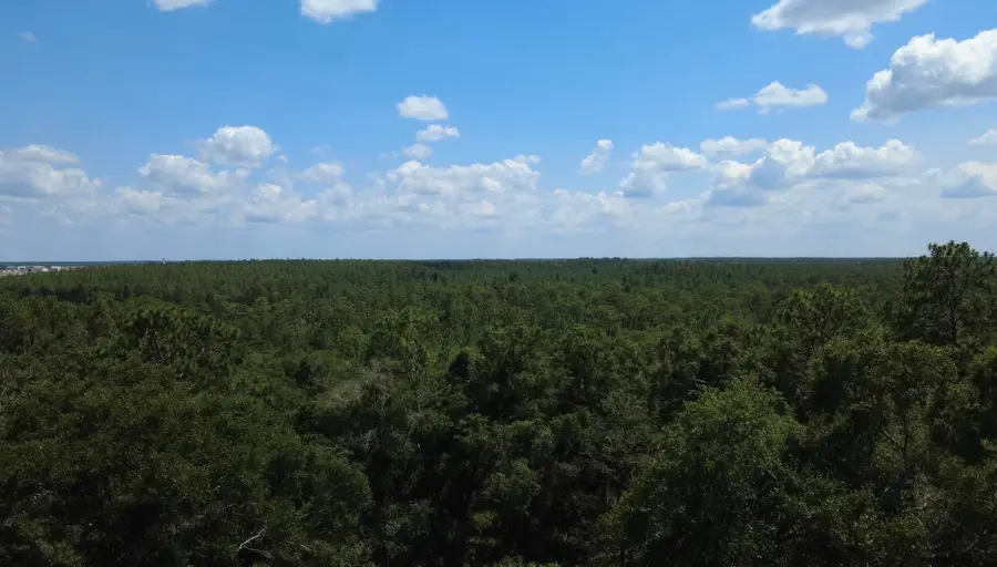 5397 Sullivan Road, Tallahassee, FL 32310 - #2