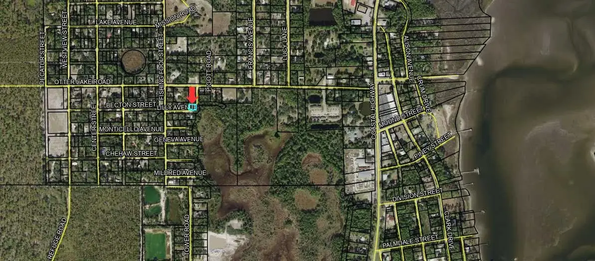 Lot 8&9 Lilly Avenue, Panacea, FL 32346 - #1
