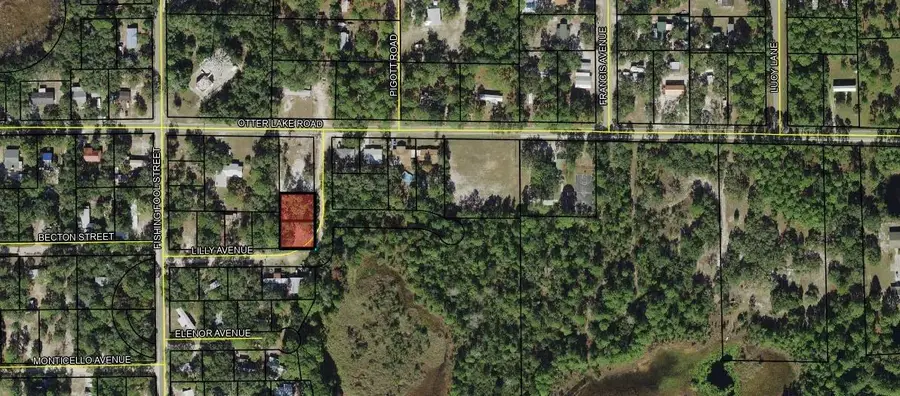 Lot 8&9 Lilly Avenue, Panacea, FL 32346 - #2