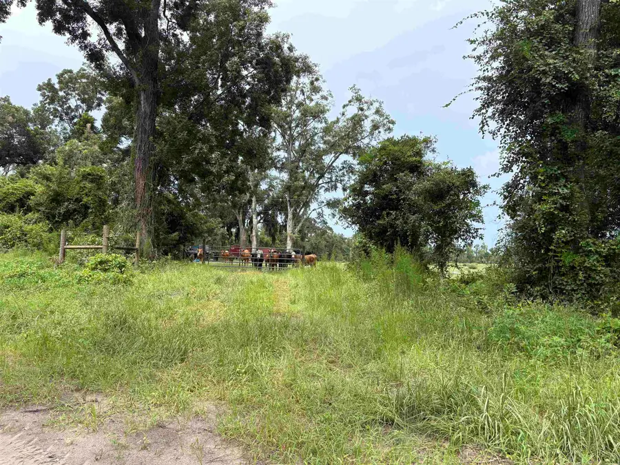 00 Sw 65th Ln., Jasper, FL 32052 - #2